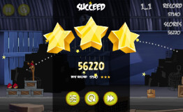 Angrybirds 6